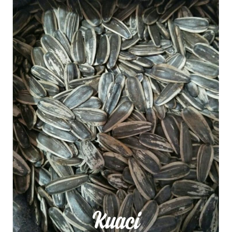 

kwaci / jajan lebaran / jajan kiloan / jajan asul-asul / jajan oleh-oleh