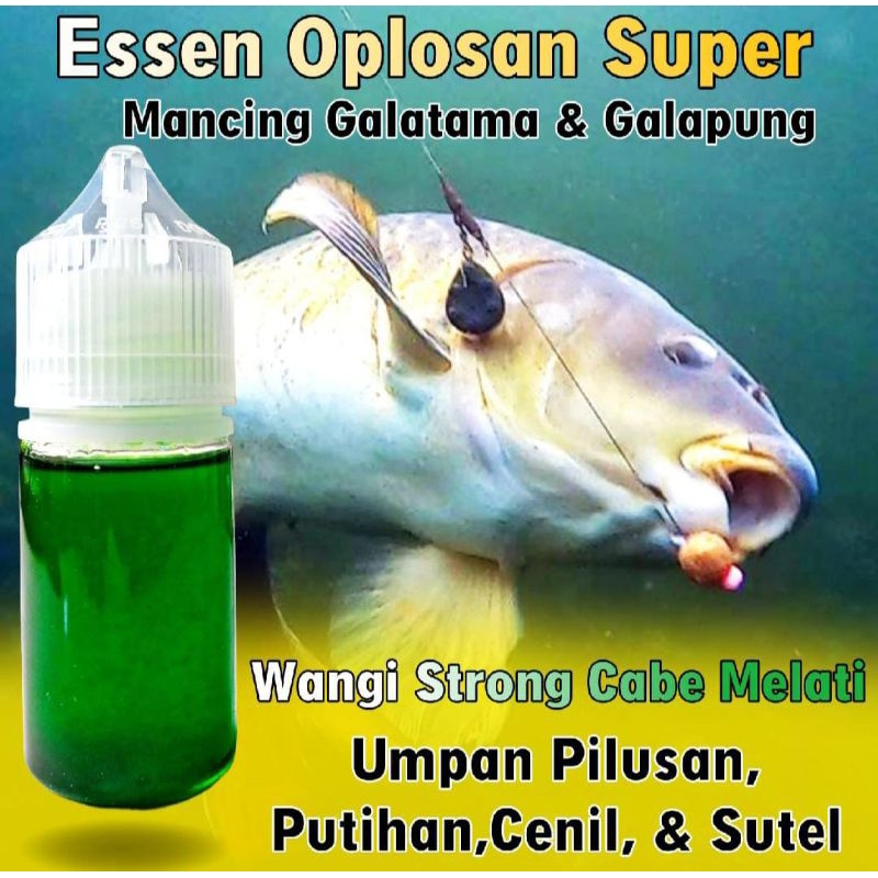 Essen Ikan Mas Indukan, Essen Ikan Mas Babon, Essen Ikan Mas Galatama, Essen Ikan Mas Galapung