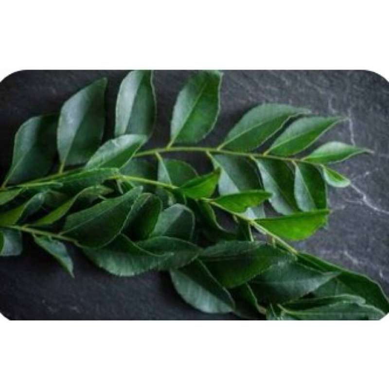 

Daun Kari - 100gram