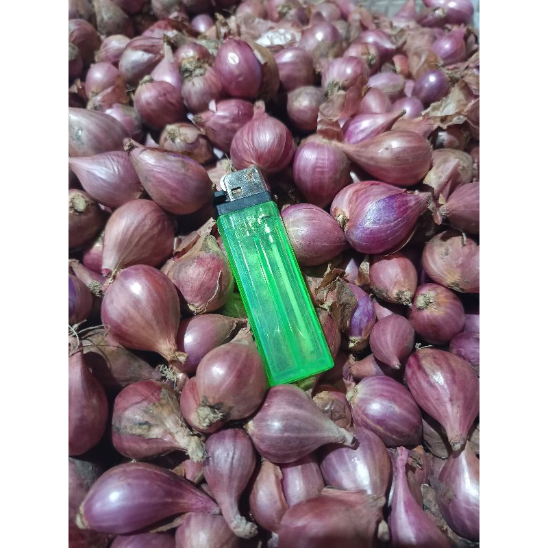 

BAWANG MERAH 1kg super