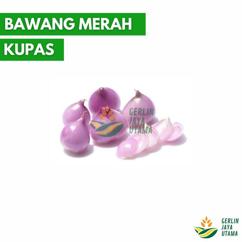 

(1Kg/500Gram/250Gram) Bawang Merah Kupas // Red Shallot Brambang Bersih Tanpa Kulit Sayuran Segar Fresh Vegetables Instan Termurah Promosi Kota Malang Probolinggo Brebes Asli Premium Sedang Kecil Besar Bima High Iris Bumbu Dapur Memasak Penyedap Rasa Good