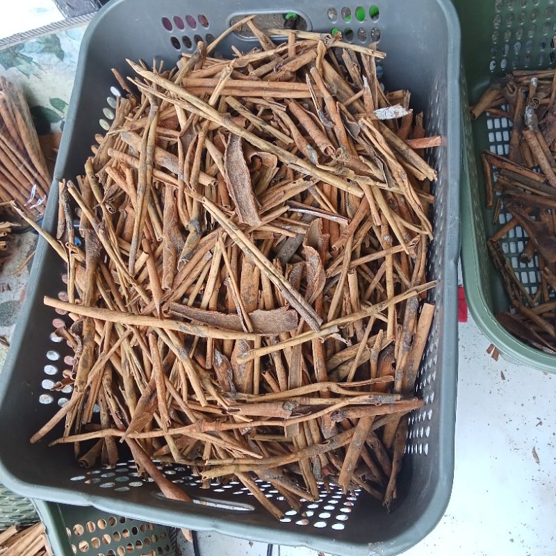 

kayu manis patahan sotiran 10