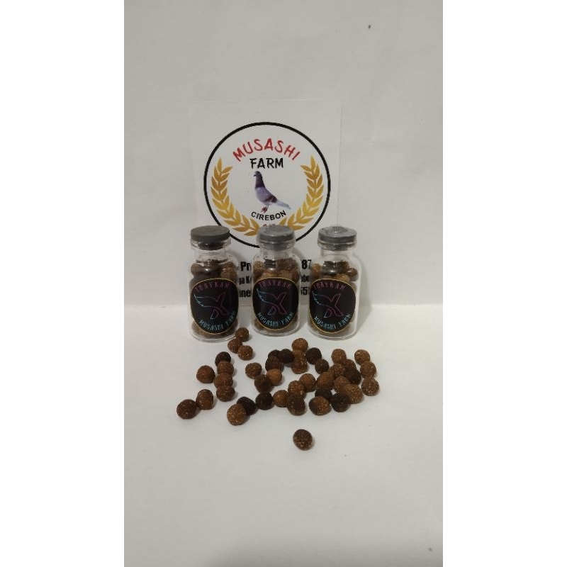 jamu giring keket merpati Thaykam X