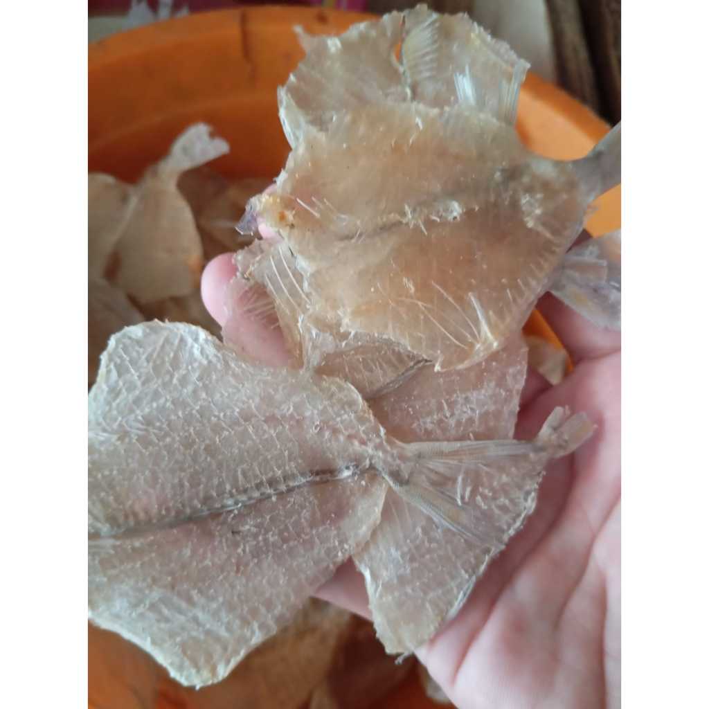 

Ikan Asin Kapasan Berkualitas 1kg - 1/2kg - 1/4kg