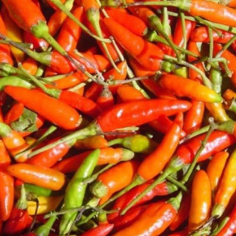 

Cabai Rawit Merah Jablai fresh 1kg