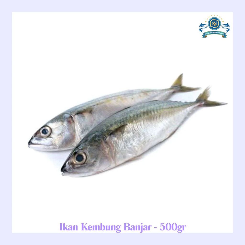 

Frozen Ikan Kembung Banjar 500gr (3-4pcs per pack)