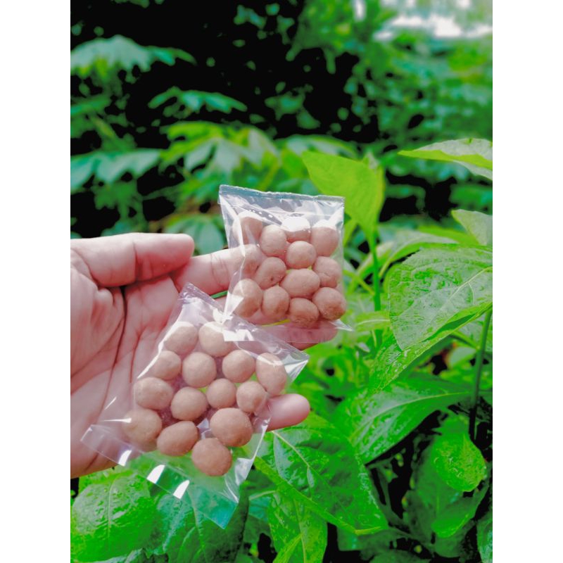 

kacang telur snack box 20gr/10 pcs