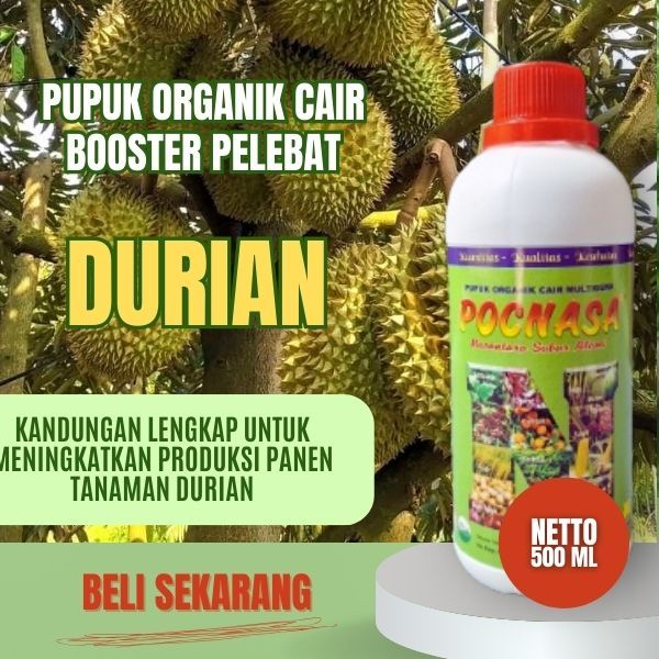 Pupuk Durian Supaya Cepat Berbuah / Pupuk Durian Supaya Subur / Pupuk Durian Cepat Berbuah /Booster