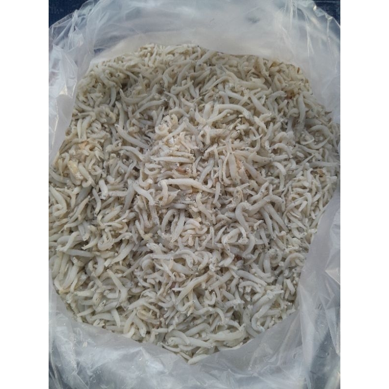 

Ikan Teri Medan Kualitas Premium TERMURAH Bisa COD
