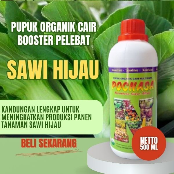 Pupuk Sawi Hijau / Pupuk Sawi Hijau Manis / Pupuk Sawi Hijau Caisim / Pupuk Sawi Hijau Bibit