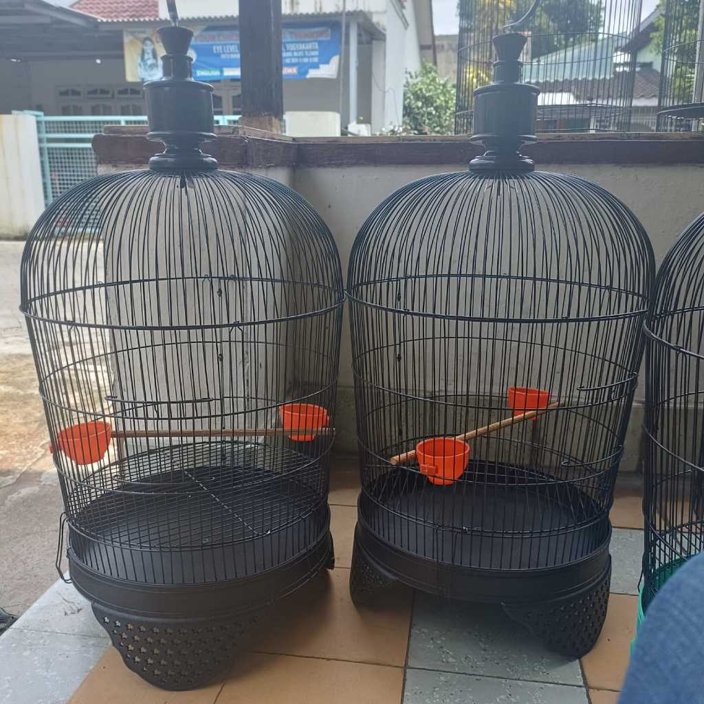Sangkar D38 T77 Perkutut Tekukur Derkuku Kutut Puter Kandang Ram Besi Kualitas Premium