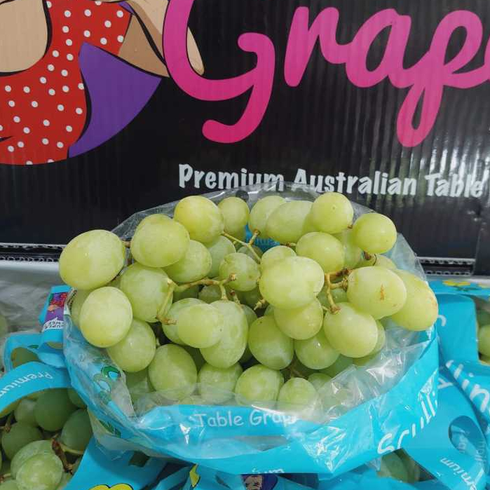 

Anggur Hijau Ivory Australia