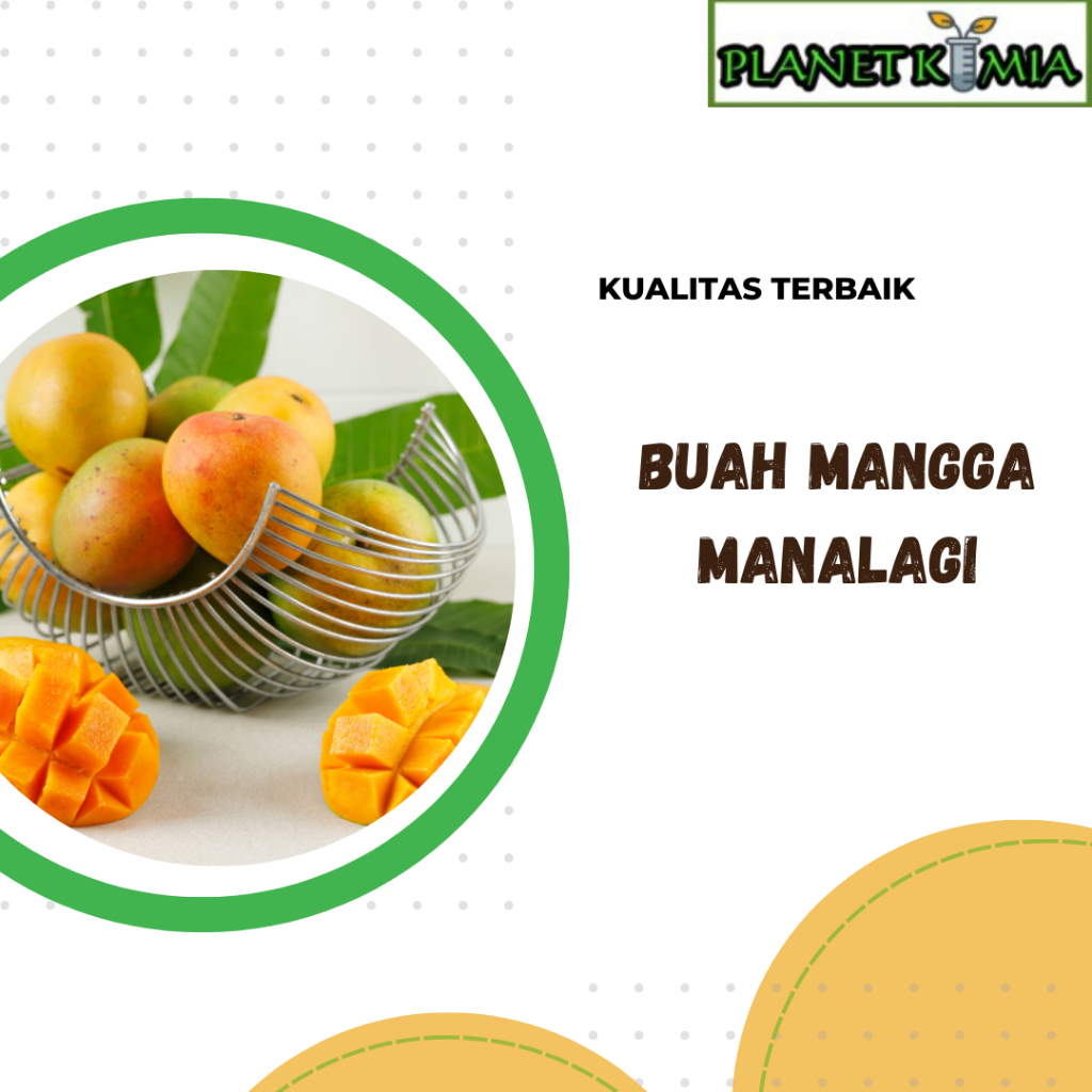 

ekstrak buah mangga best product