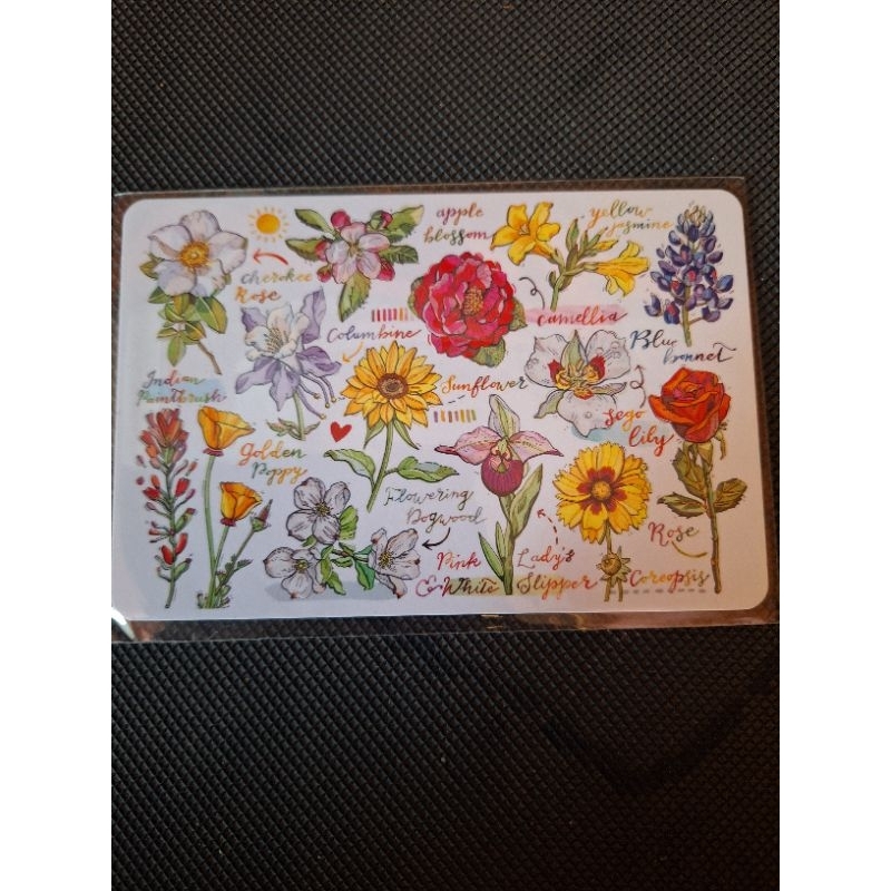 

Kartu pos Loupaper bunga/flower loupaper postcard