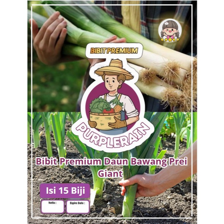 Bibit Premium Daun Bawang Prei Giant | Daun Bawang Prei Jumbo|Bibit Daun Bawang Jumbo|Benih Daun Baw