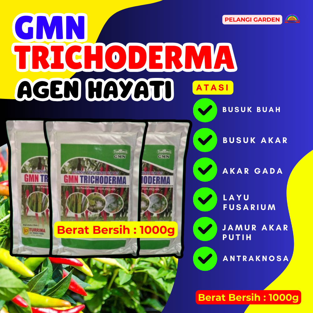 TERBUKTI  Trichoderma Murni Atasi Busuk Akar, Trichoderma Murni isi 1000g, Trichoderma Hayati 500g A