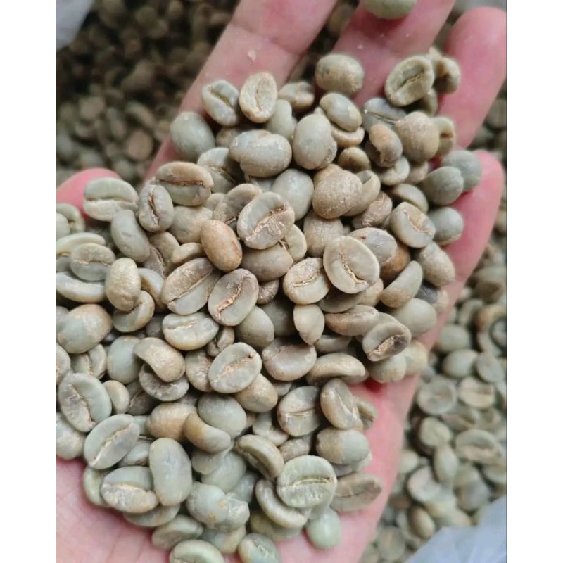 

green bean Robusta 1 kg
