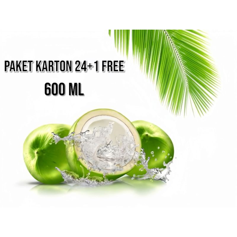 

Oleh-oleh Khas Bali Paket Karton 24+1