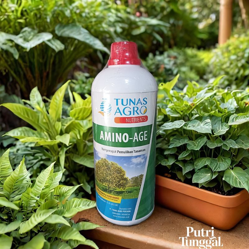 Amino age pupuk cair amino dan vitamin original tunas agro