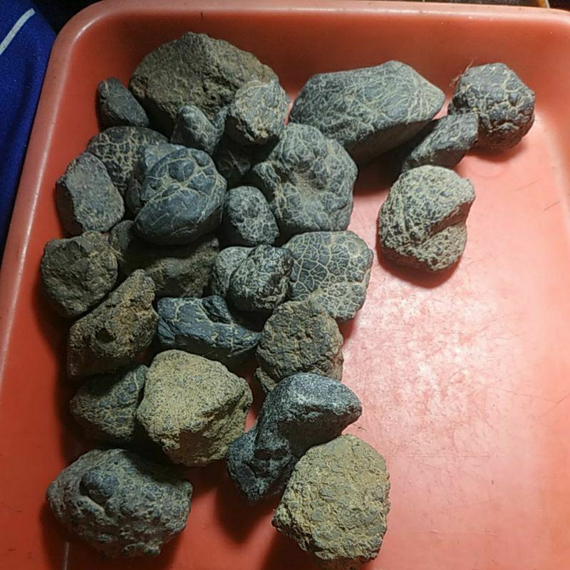 Bahan natural batu pirus hitam kura kura Baluran