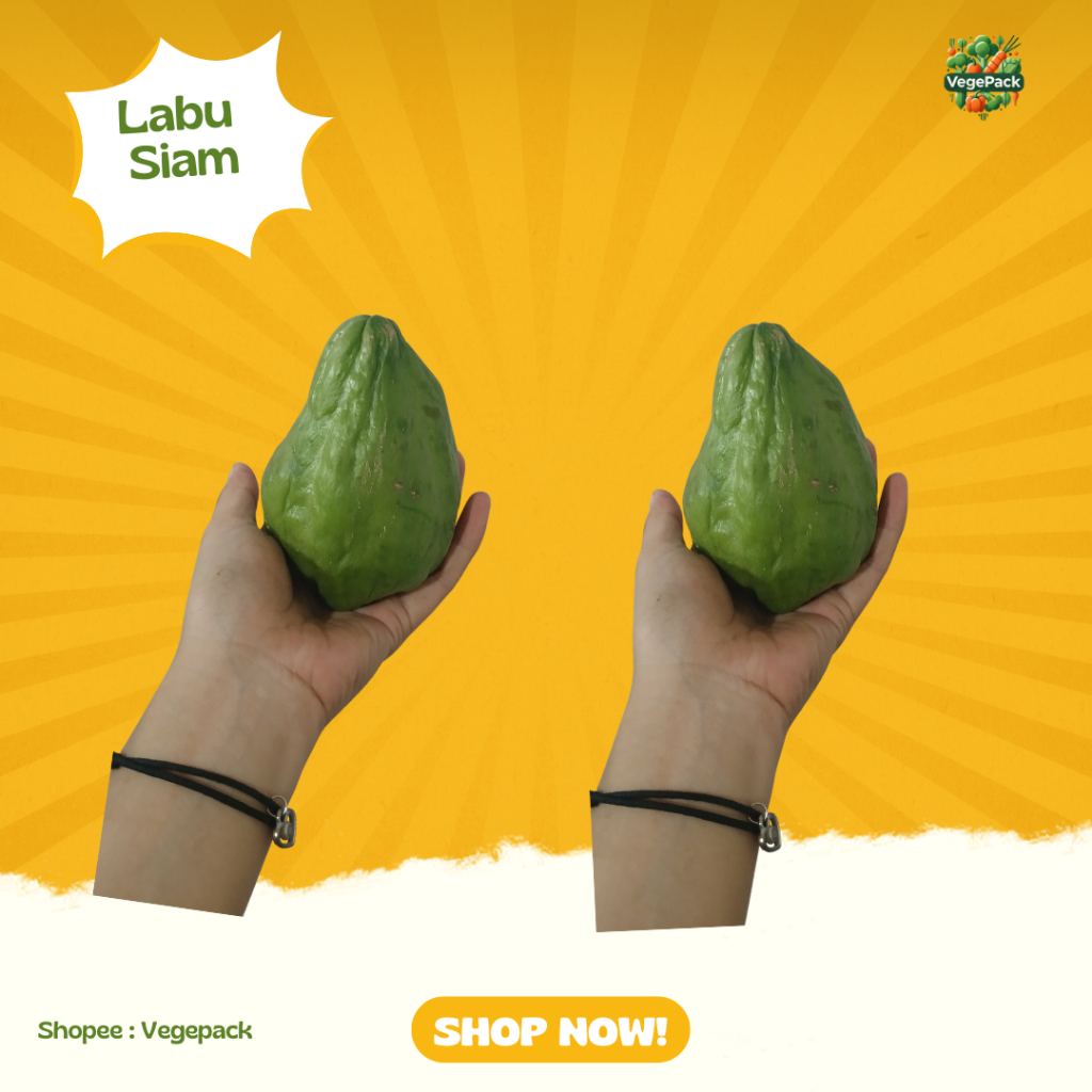 

Labu Siam 1 Buah