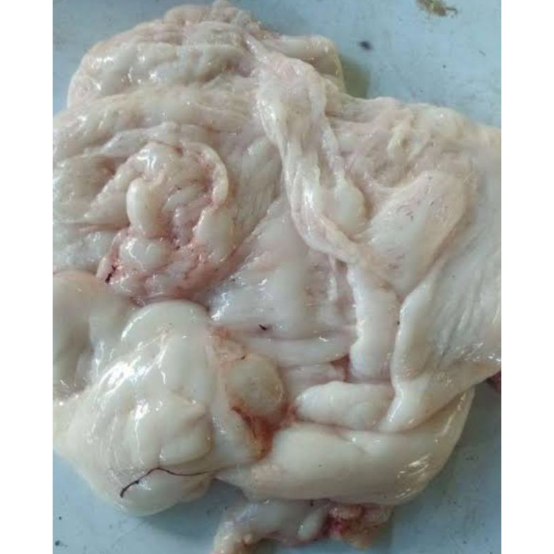 

Lemak kambing lokal