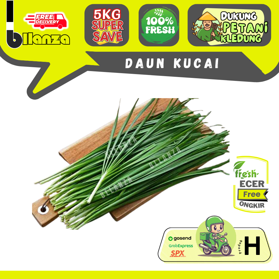 

Bllanza | Kucai / Daun Kucai — Sahabat Makan Sayur Ecer (H)