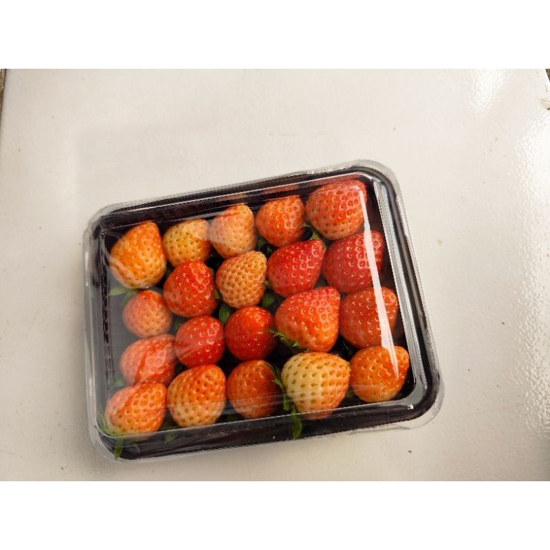 

Strawberry Fresh dadakan kebun ciwidey gradeC