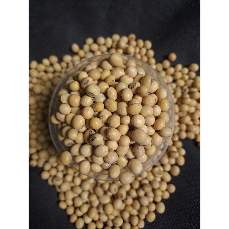 

Kacang kedelai 500gr