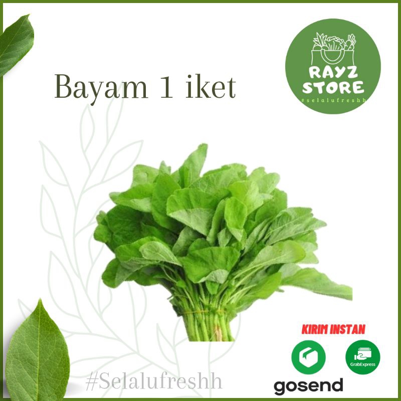 

Bayam Segar 1 ikat fresh
