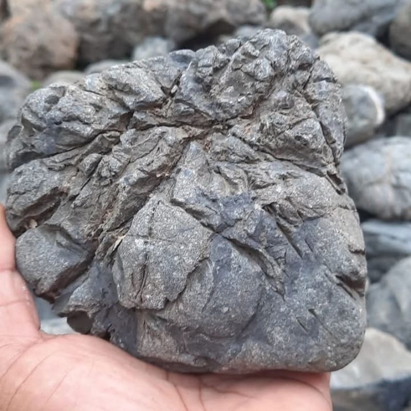 batu truly stone batu aquascape aquarium 1kg