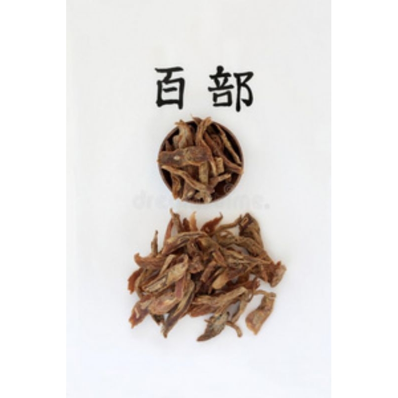 

100gr 百部 Chuan Bai Bu Tuber Stemona Root Stemona Sessilifolia
