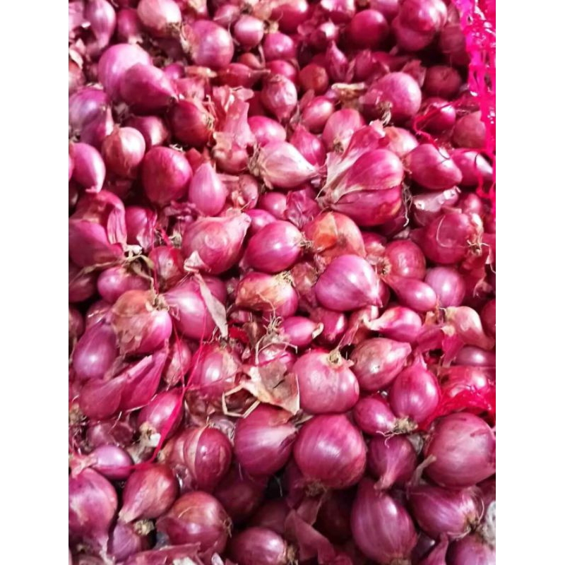 

Bawang merah 1kg kualitas bagus|BAWANG MERAH/Tanggung besar|bumbu masak/penyedap rasa