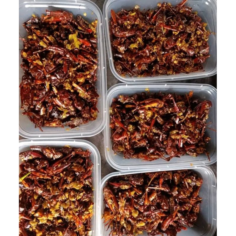 

belalang goreng KAYU toples sosis kas TUBAN