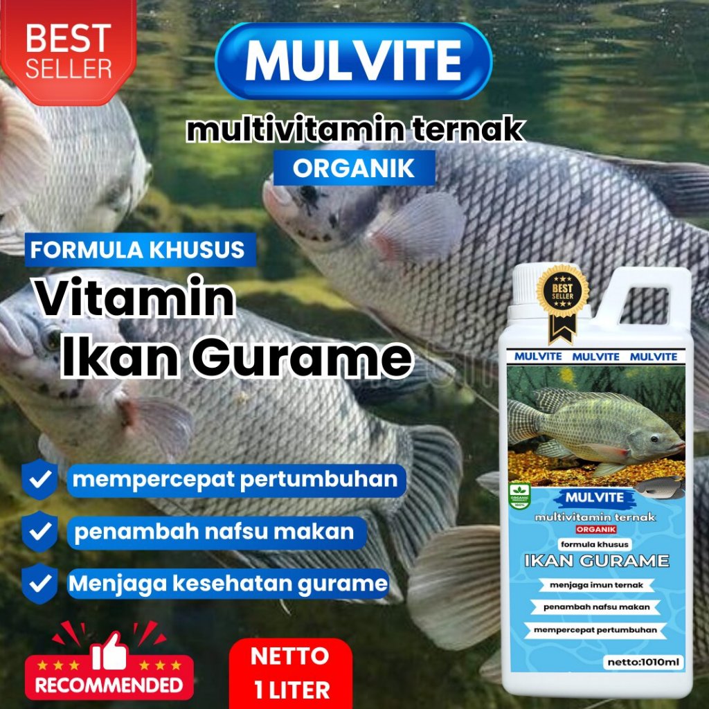 MULVITE IKAN GURAME Vitamin Ikan gurame, vitamin probiotik ikan gurame Cepat Besar, Penambah Napsu M