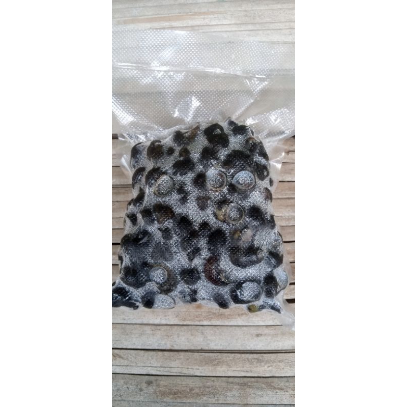 

Tutut Sawah/Empang Mateng Frozzen 350gram