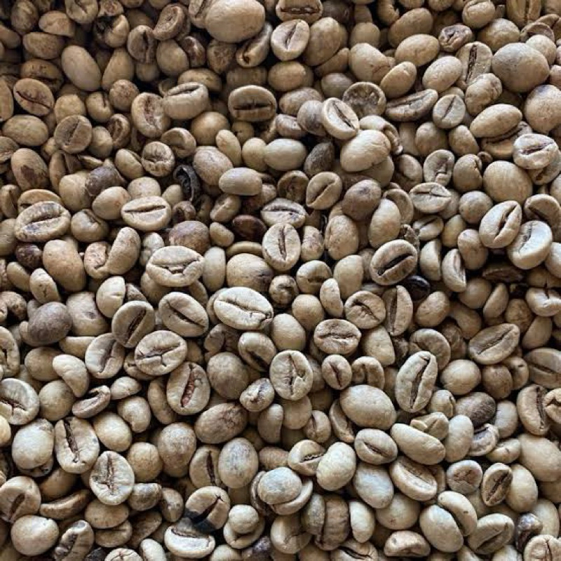 

kopi pati