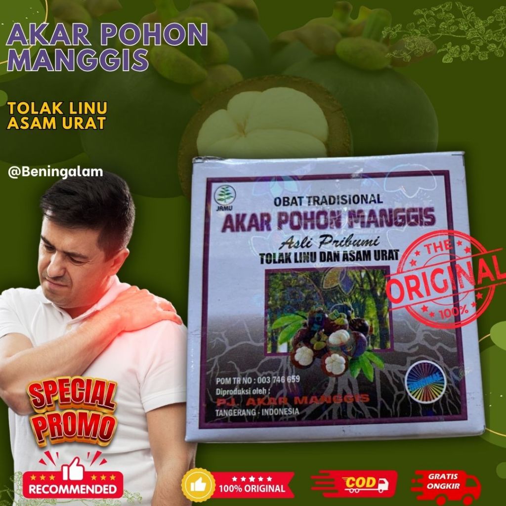 

AKAR POHON MANGGIS