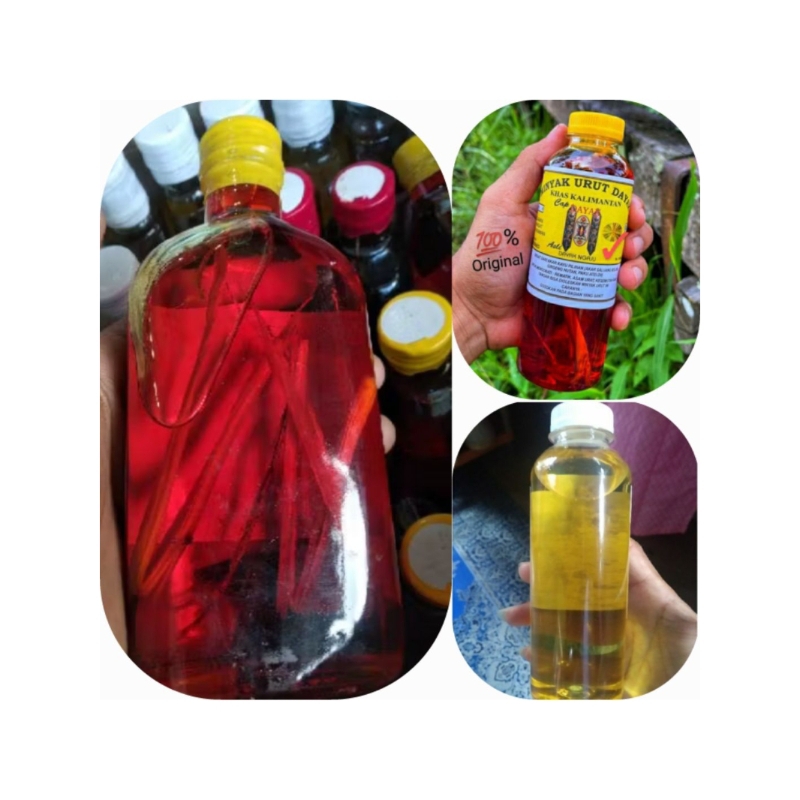 Minyak urut dayak khas kalimantan original asli berhologram ukuran besar