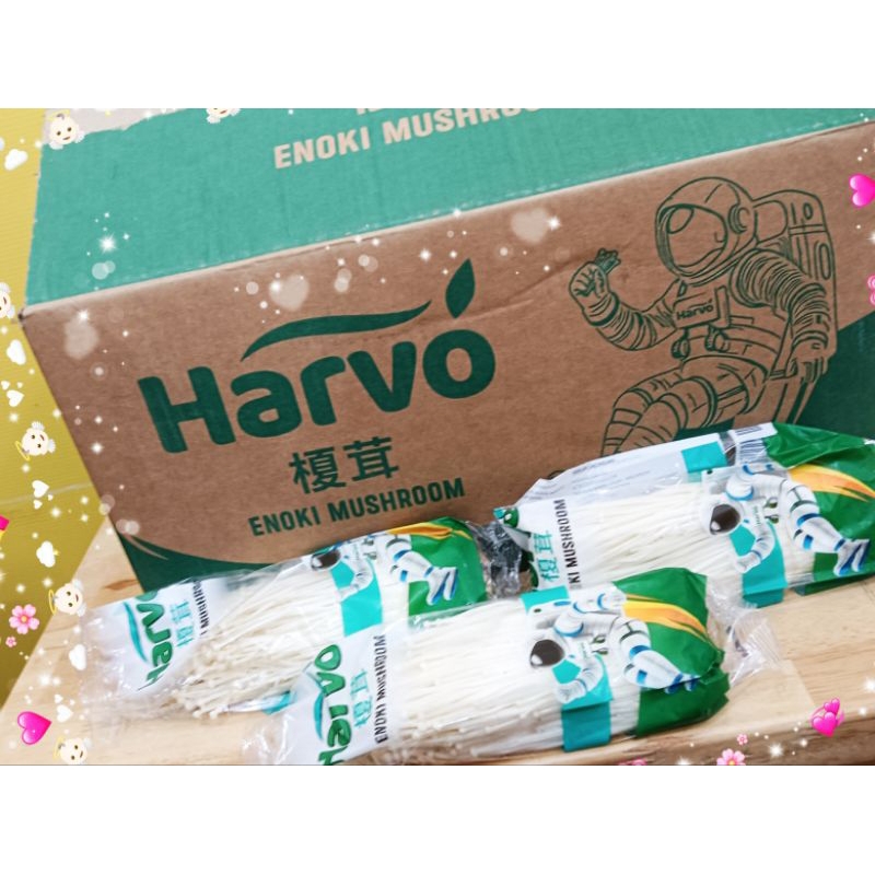 

JAMUR ENOKI HARVO 50PC/DUS / ENOKI MUSHROOM