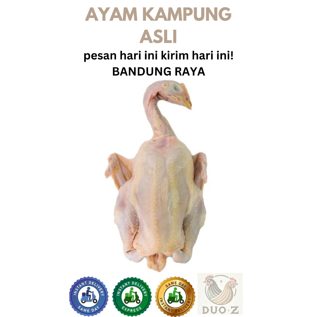 

Ayam Kampung 1 Ekor Sehat Fresh Potong Dadakan