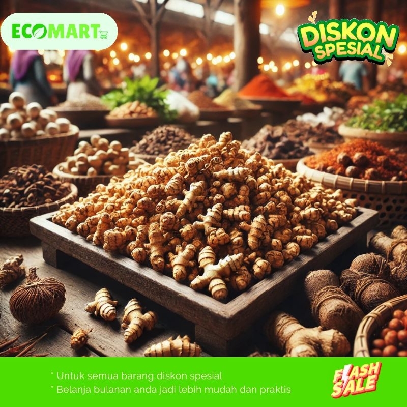 

KENCUR DESA SUPER BESAR DAN SEGAR PASTINYA