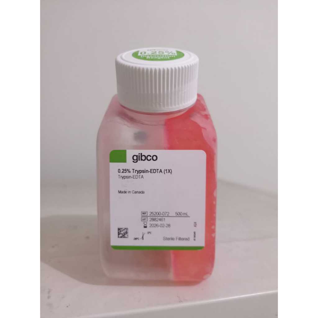 Trypsin-EDTA (0.25%), phenol red - Gibco