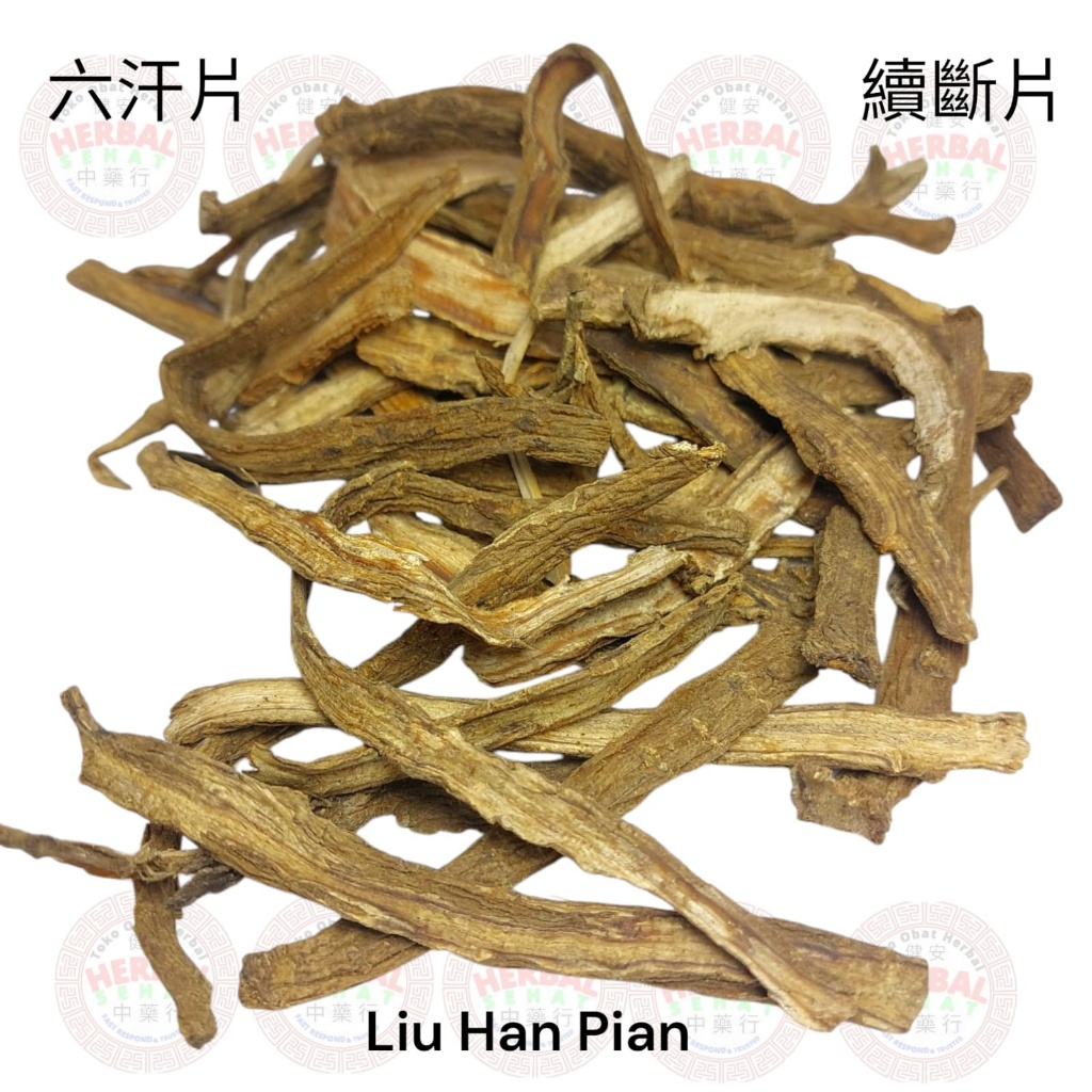 

Xu Duan Pian 续断片 50 Gram - Liu Han Pian 六汗片 Radix Dipsaci - Liu Hon - Siuk Thon