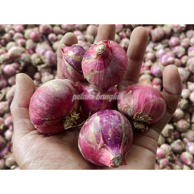 

bawang merah bali karet BESAR PILIHAN 1kg