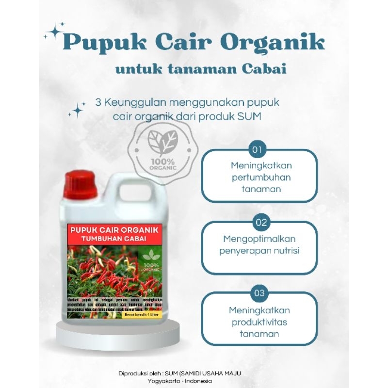 PUPUK CAIR ORGANIK UNTUK TANAMAN CABAI