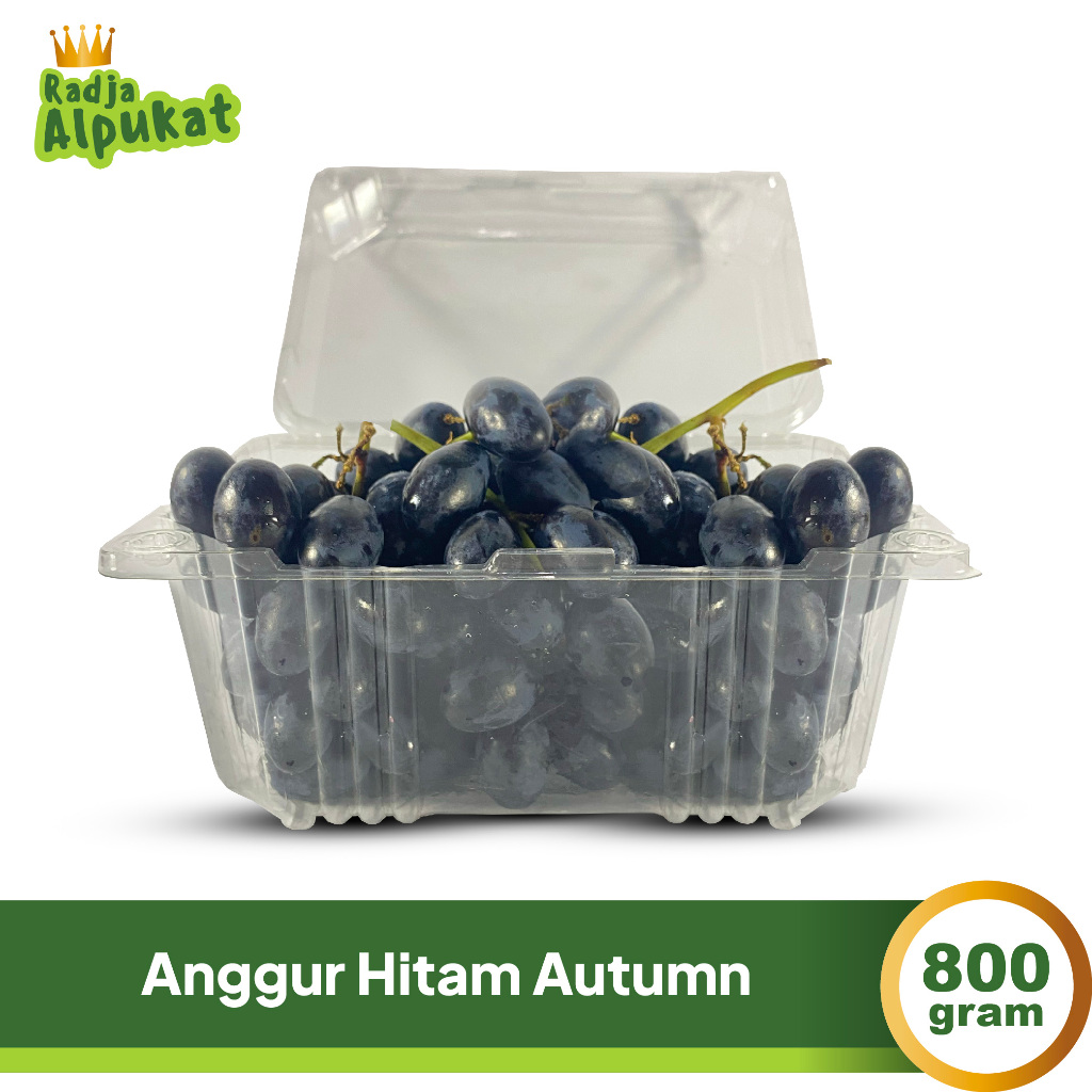 

Anggur Hitam Autumn Non Biji Import USA/Ausie, Kemasan 800 Gram