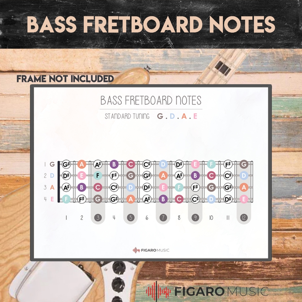 Poster Bass Guitar Fretboard Notes Chart