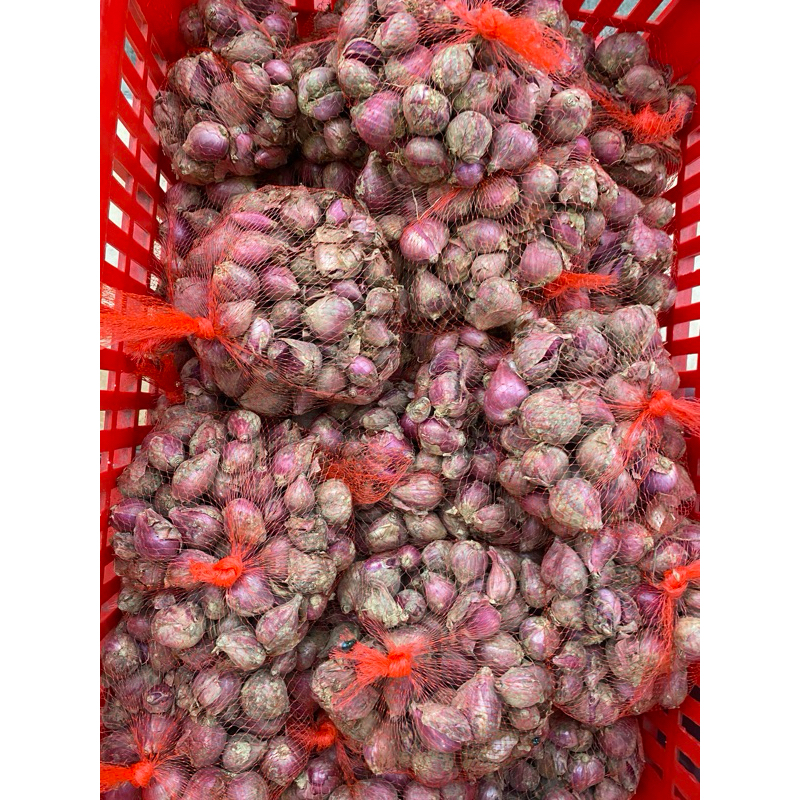 

BAWANG BREBES/BAWANG MERAH JUMBO UKURAN 500 GRAM