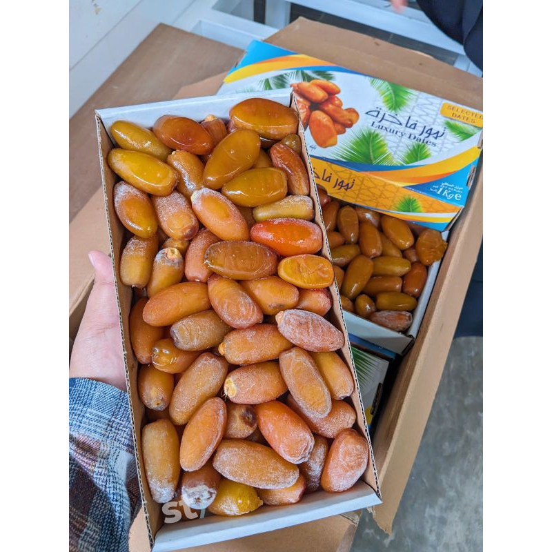

kurma ruthob libya/ kurma segar